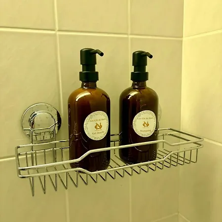 Apartment Le Clos De L'ancien - Free Parking *