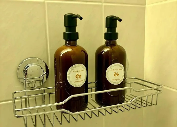 Apartment Le Clos De L'ancien - Free Parking *